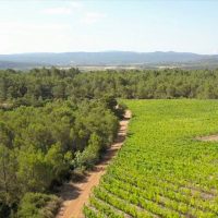 Domaine du Grand Crès