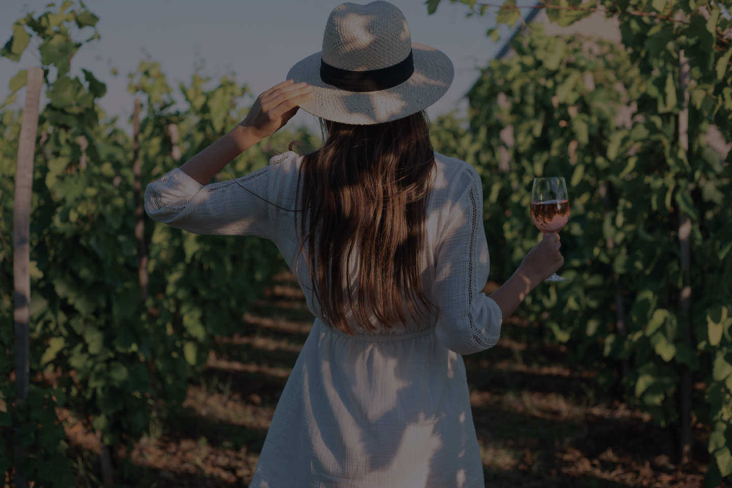 Comment bien choisir votre rosé pour cet été ?