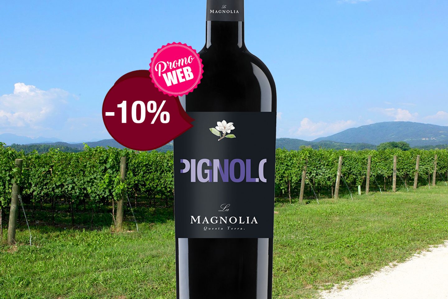 Offre spéciale Web : Italie IGT Trevenezie 2021 