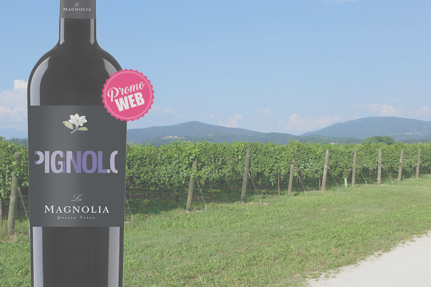 Offre spéciale Web : Italie IGT Trevenezie 2021 