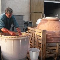 Domaine  Pascal Lambert