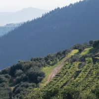 Monte Santoccio