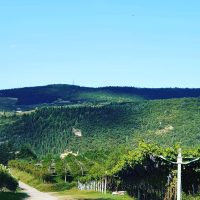 Monte Santoccio