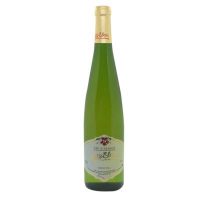 Alsace Riesling 2024 D. Metz Bleger