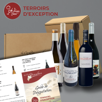 Box Terroirs d’exception / 6 bouteilles / septembre  2025