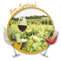 Box "Au fil du Rhône" - 6 bouteilles 75cl