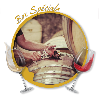 Box &quot;Les Seigneurs du Languedoc&quot; -  6 bouteilles 75cl