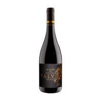 Gaillac Rouge 2019 " Les Secrets " Château Palvié