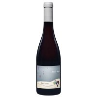 Vin de France Rouge 2024 " Pinot Noir " Domaine Eric Louis