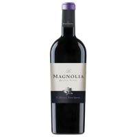 Italie IGP Trevenezie 2024 " Cabernet Sauvignon " Azienda La Magnolia