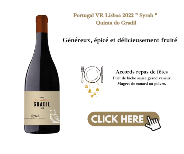 SYRAH GRADIL .png
