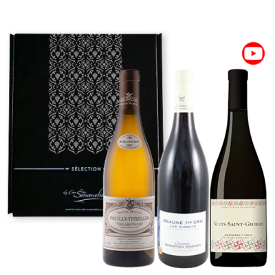 Coffret &quot;Sélection Grands Vins de Bourgogne&quot; 