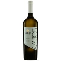 Italie IGT Veneto Bianco 2024 " Amitor " Ilatium Morini / Biologico