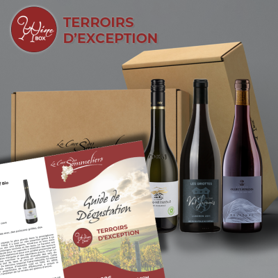 Box Terroirs d’exception / 3 bouteilles / janvier  2025 