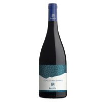 Minervois Rouge " Les Ailes Imaginaires " 2024 Domaine Pujol