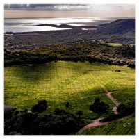 Domaine de Torraccia