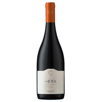 Chili Colchagua Valley  Syrah " Gran Reserva " 2020 " La Joya " Bisquertt *