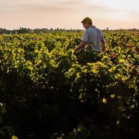 Domaine de La Pagerie