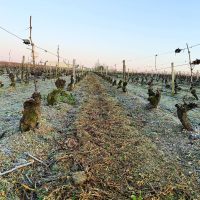 Domaine de La Pagerie