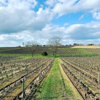 Domaine de La Pagerie