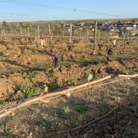 Domaine de La Pagerie