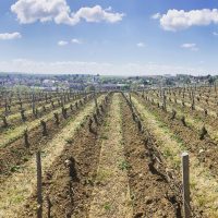 Domaine de La Pagerie