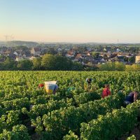 Domaine de La Pagerie