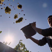 Domaine Sander - Rheinhessen (Allemagne)