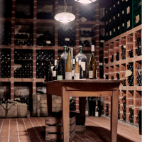 Domaine Sander - Rheinhessen (Allemagne)