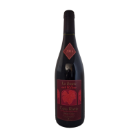 Côte Rôtie 2013 " La Soute est Reine " D. Didier Gerin