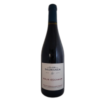 Côtes du Rhône Villages Gadagne Rouge 2023 " Solis Occasum " (syrah majoritaire) Le Clos des Saumanes / Bio