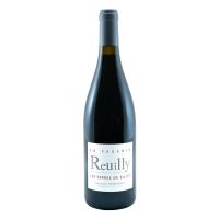 Reuilly Rouge 2024 " Les Terres de Silice " Domaine de La Pagerie / Bio