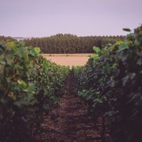 Domaine du Chant d'Eole