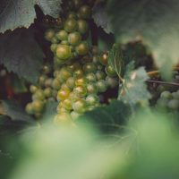 Domaine du Chant d'Eole