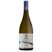 Minervois Blanc 2025 " Sur la pointe des pieds " Domaine Pujol / Bio