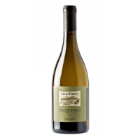 Vacqueyras Blanc 2023 " Minéral " D. Montirius / Biodyn