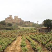 Pazo do Mar