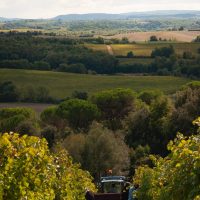 Tenuta Cappellina
