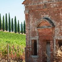 Tenuta Cappellina
