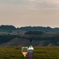 Tenuta Cappellina