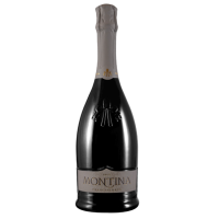 Italie DOCG Franciacorta Brut Montina N.M. (85% chardonnay, 15% pinot nero)