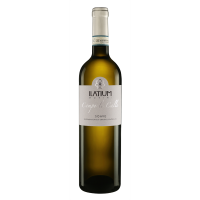Italie DOC Soave 2025 " Le Calle " Ilatium Morini / Bio