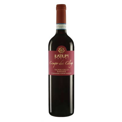 Italie DOC Valpolicella Ripasso Superiore 2020 " Ciliegi " Ilatium Morini