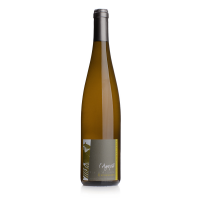 Alsace Pinot Gris 2023 " Expression " D. Agapé / Bio
