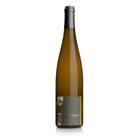 Alsace Riesling 2024 " Expression " D. Agapé / Bio