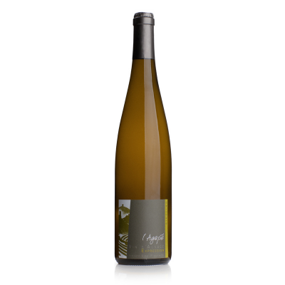 Alsace Riesling 2024 " Expression " D. Agapé / Bio