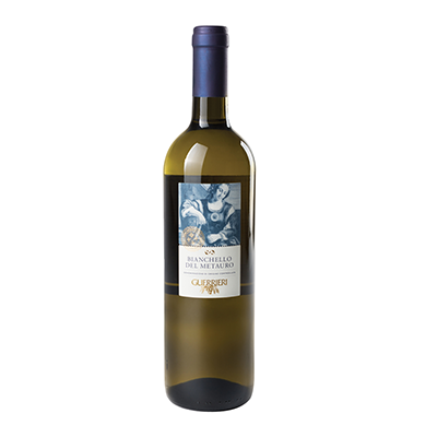 Italie DOC Bianchello del Metauro (blanc) 2025 Azienda Agraria Guerrieri (100% Bianchello)